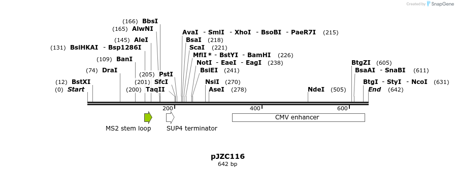 108332_map