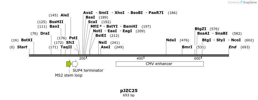 108334_map
