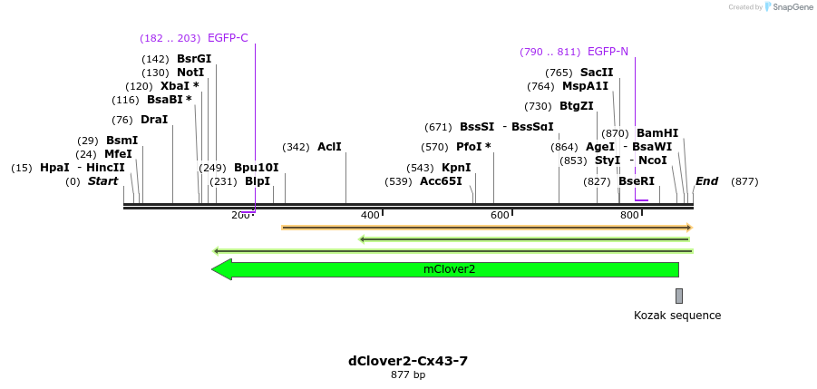 108336_map