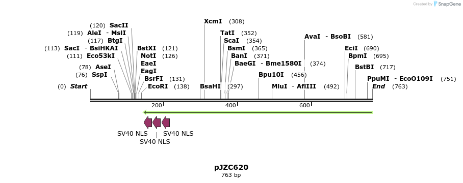 108342_map