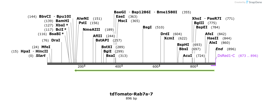108359_map