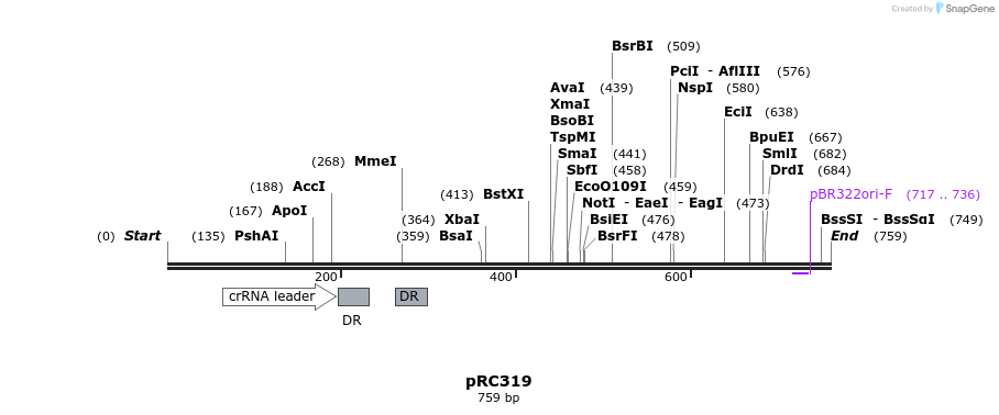 108364_map