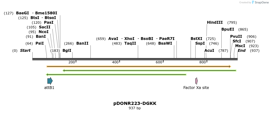 10837_map