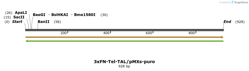 108377_map