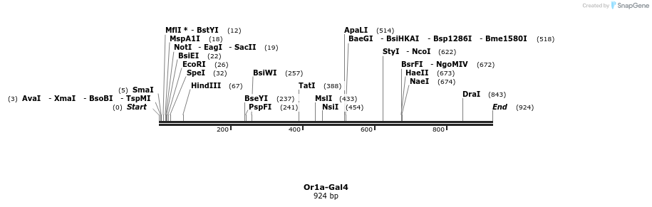 108380_map