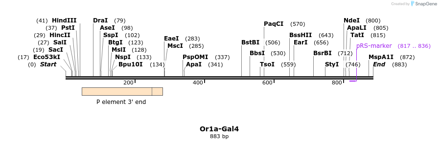108381_map