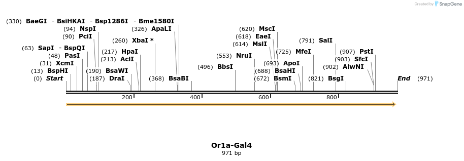 108382_map