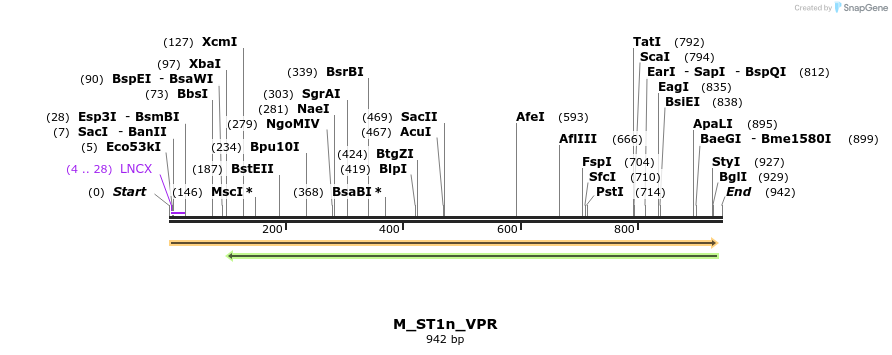 108391_map