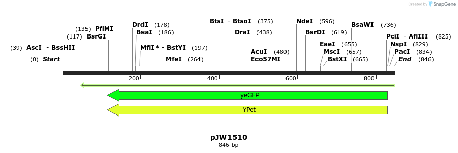 108393_map
