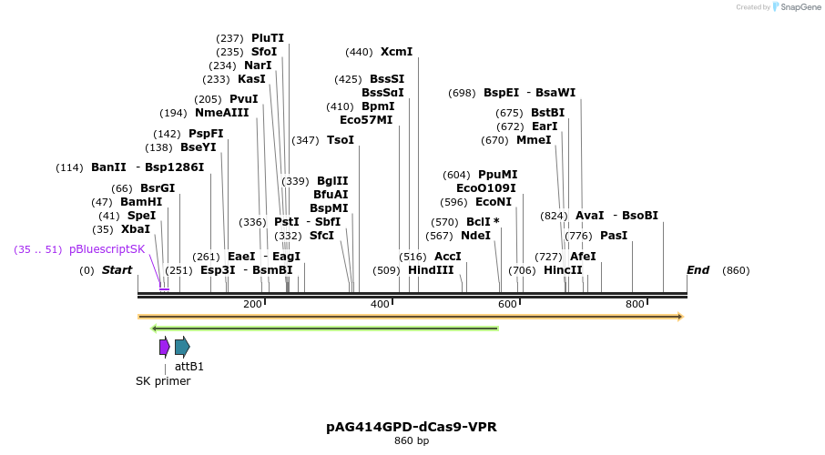 108395_map