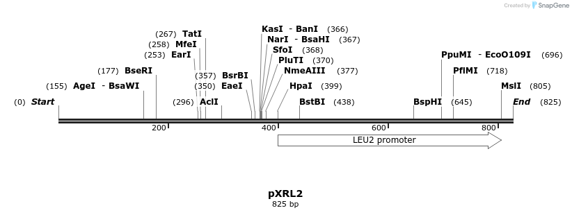 108397_map
