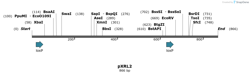 108399_map