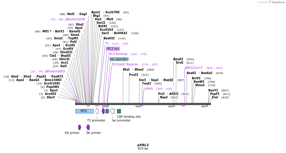 108400_map