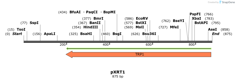 108405_map