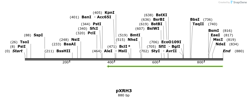 108408_map