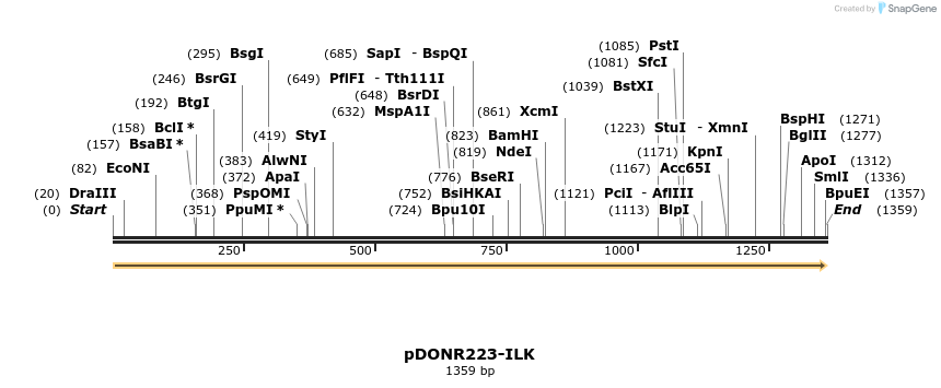 10841_map