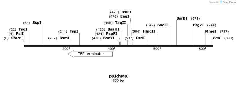 108410_map