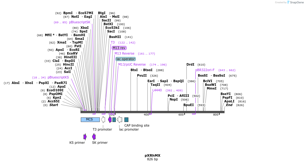 108411_map