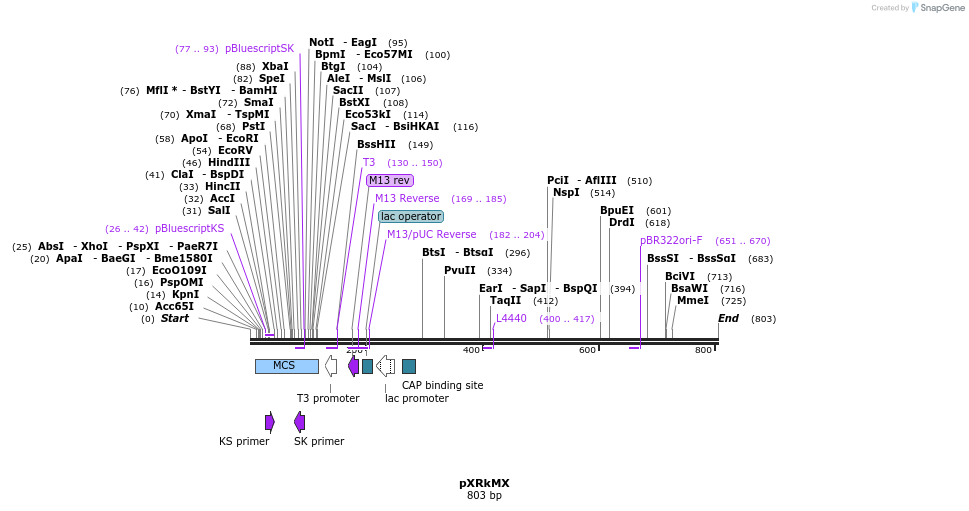 108412_map