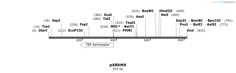 108413_map