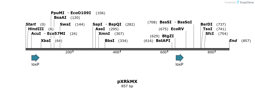 108414_map