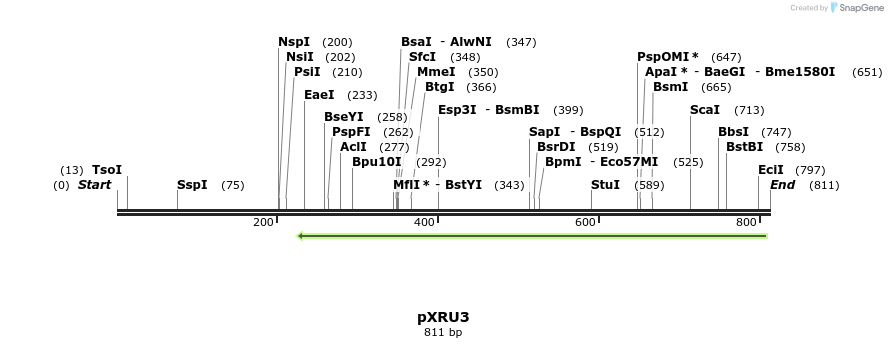 108416_map