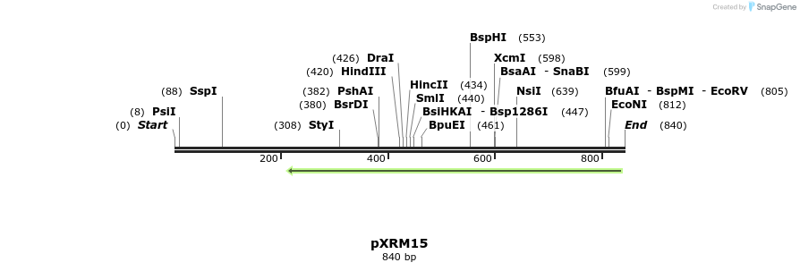108418_map