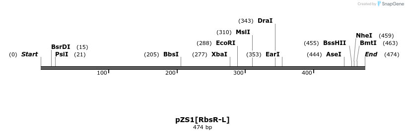 108423_map