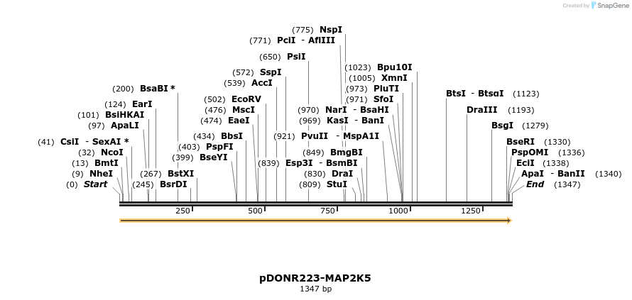 10843_map