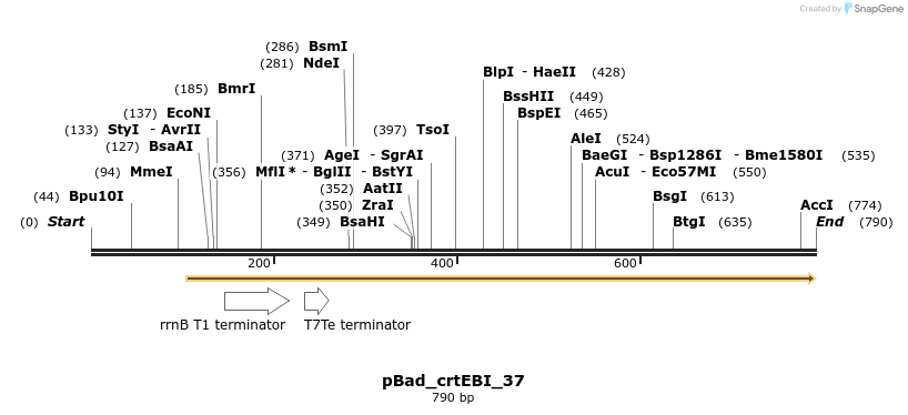 108432_map