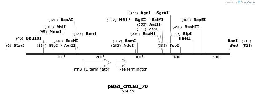 108436_map