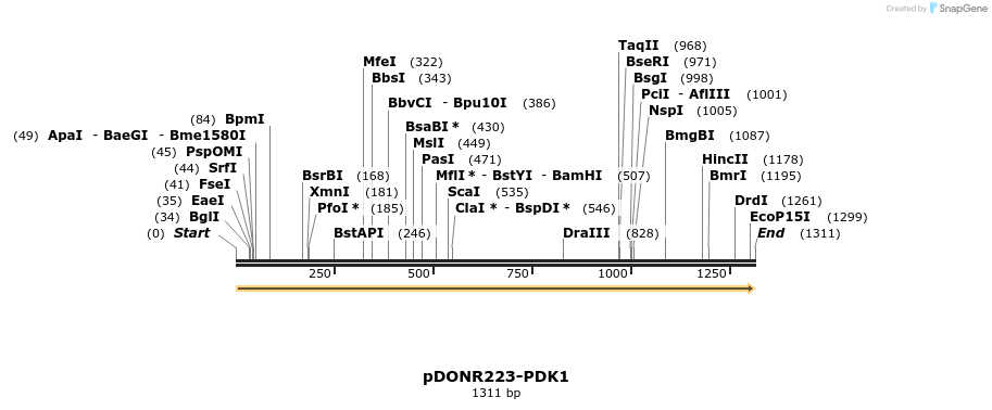 10844_map