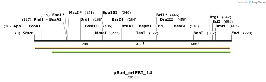 108441_map