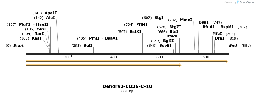 108443_map