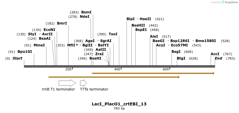 108445_map