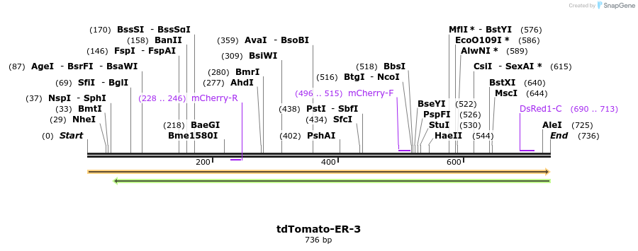 108447_map