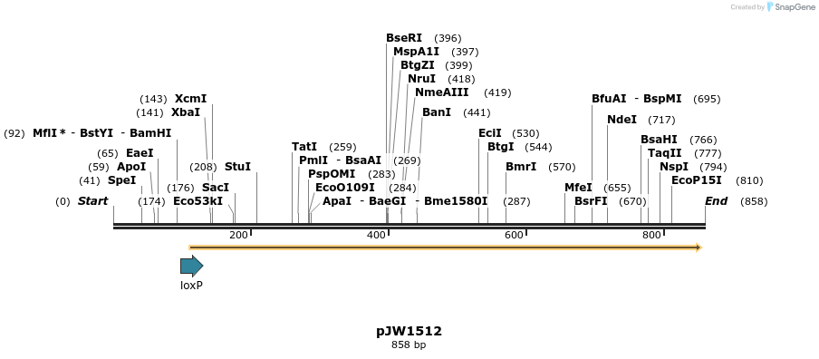 108449_map