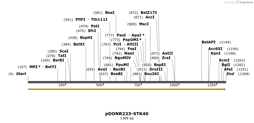 10845_map