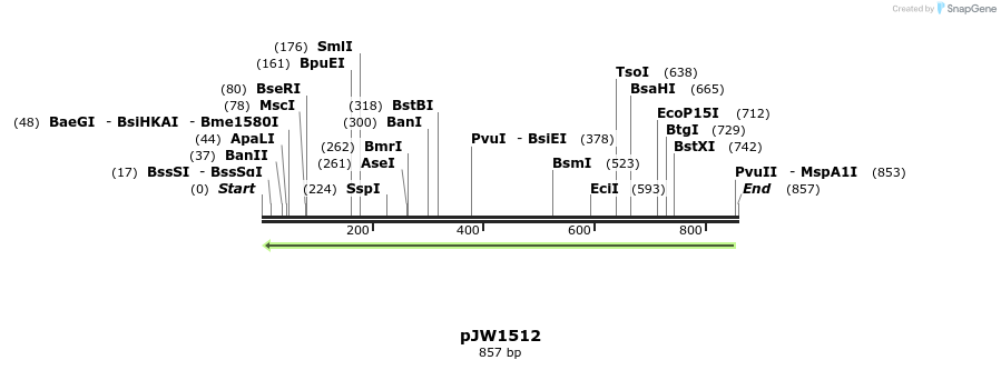 108451_map
