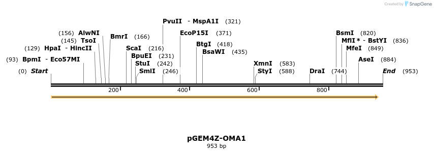 108452_map