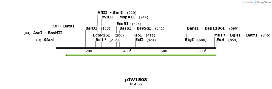 108453_map