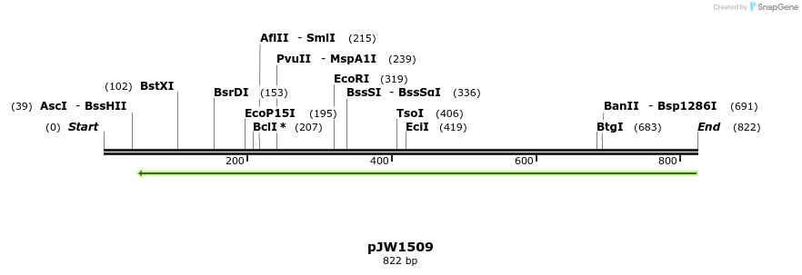 108454_map