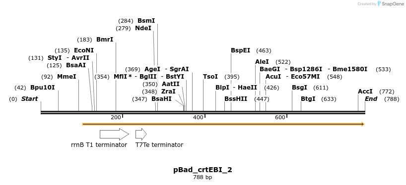 108455_map
