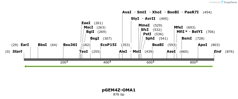 108458_map