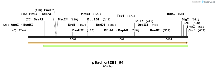 108461_map