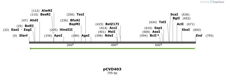 108475_map
