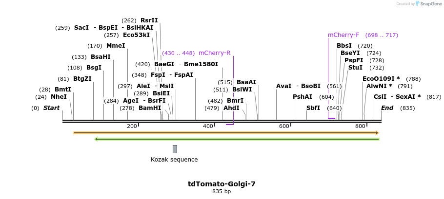 108477_map