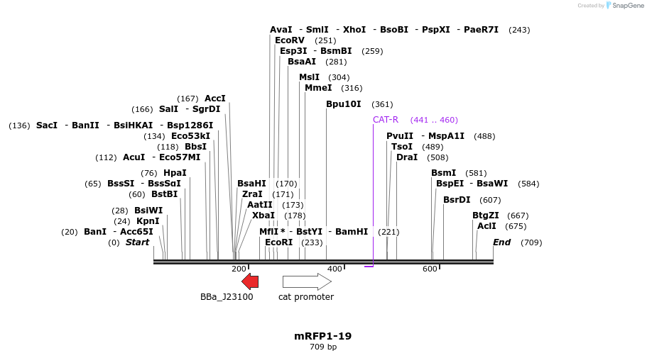 108479_map
