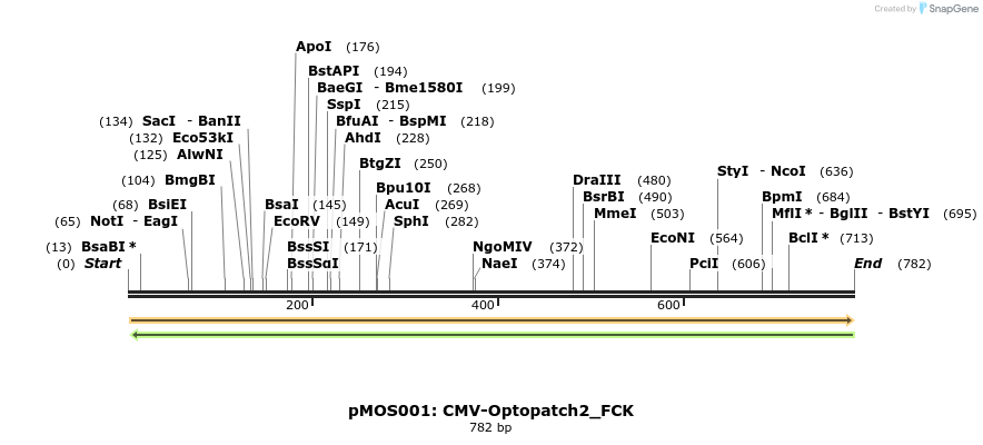 108488_map