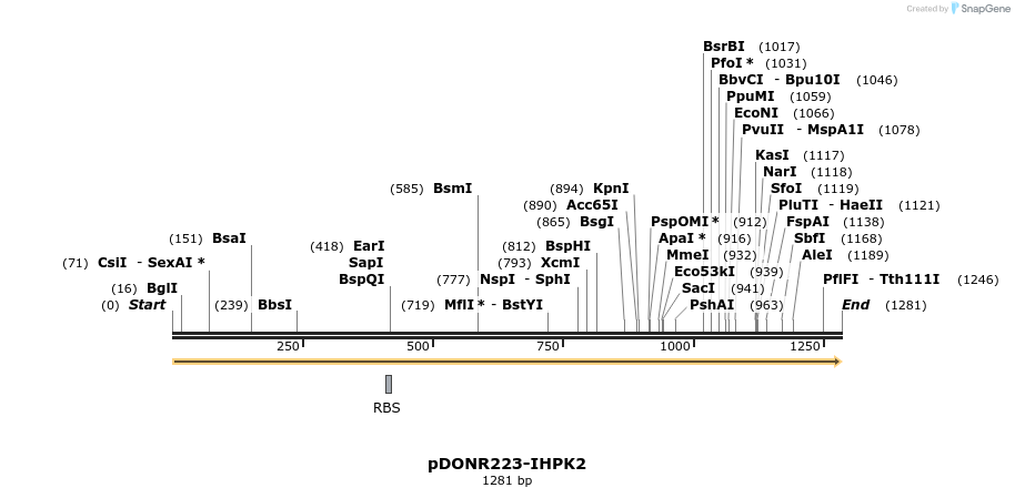 10849_map